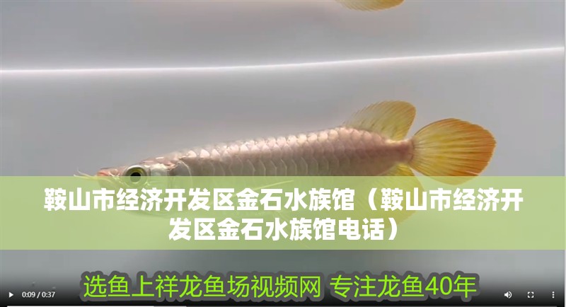 鞍山市經濟開發區金石水族館（鞍山市經濟開發區金石水族館電話）