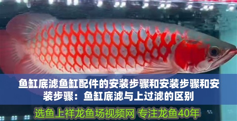 魚缸底濾魚缸配件的安裝步驟和安裝步驟和安裝步驟：魚缸底濾與上過濾的區別