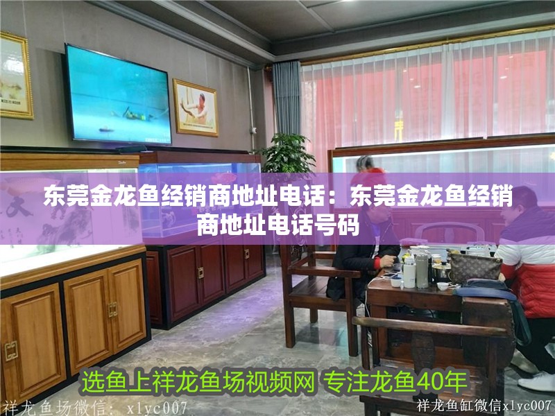 東莞金龍魚經銷商地址電話：東莞金龍魚經銷商地址電話號碼