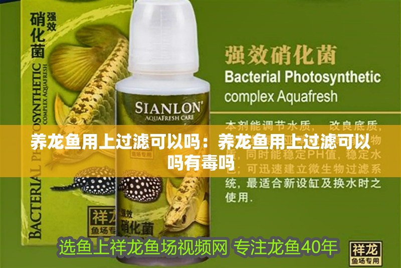 養龍魚用上過濾可以嗎：養龍魚用上過濾可以嗎有毒嗎