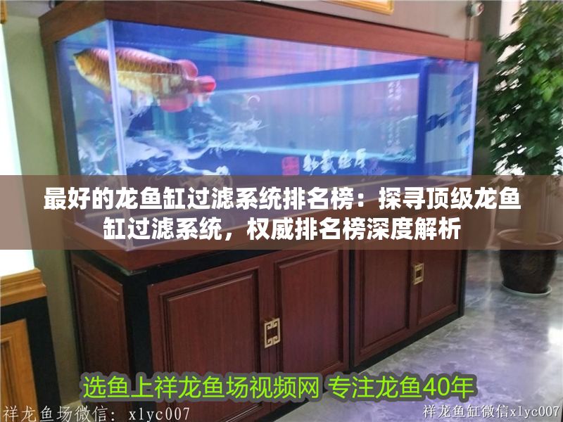最好的龍魚缸過濾系統(tǒng)排名榜：探尋頂級龍魚缸過濾系統(tǒng)，權威排名榜深度解析
