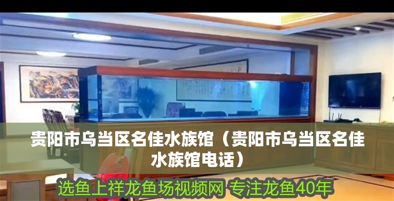 貴陽市烏當(dāng)區(qū)名佳水族館（貴陽市烏當(dāng)區(qū)名佳水族館電話）