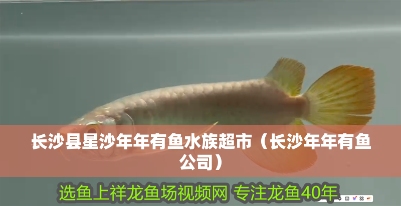 長沙縣星沙年年有魚水族超市（長沙年年有魚公司）
