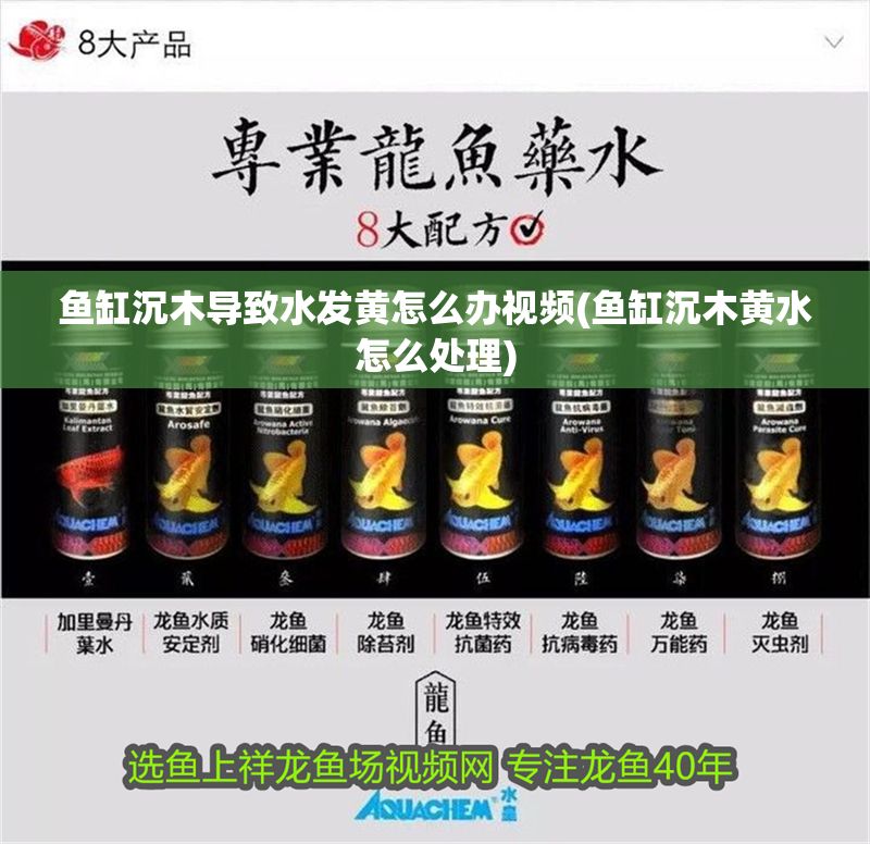 魚缸沉木導致水發黃怎么辦視頻(魚缸沉木黃水怎么處理)