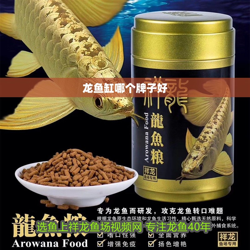 龍魚缸哪個牌子好