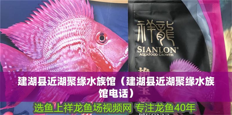 建湖縣近湖聚緣水族館（建湖縣近湖聚緣水族館電話）