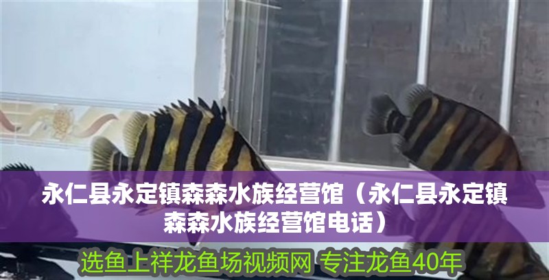 永仁縣永定鎮森森水族經營館（永仁縣永定鎮森森水族經營館電話）