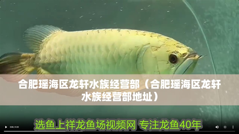 合肥瑤海區龍軒水族經營部（合肥瑤海區龍軒水族經營部地址）