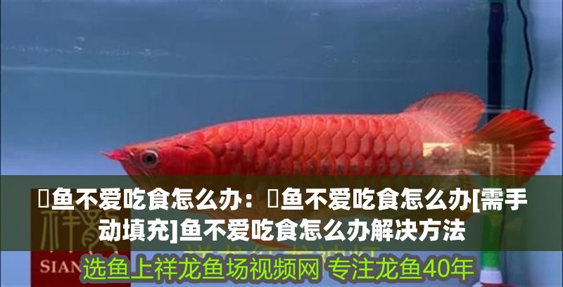 魟魚不愛吃食怎么辦：魟魚不愛吃食怎么辦[需手動填充]魚不愛吃食怎么辦解決方法 魟魚不愛吃食怎么辦：魟魚不愛吃食怎么辦[需手動填充]魚不愛吃食怎么辦解決方法 魟魚百科 第2張
