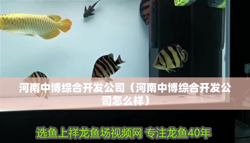 河南中博綜合開發公司(河南中博綜合開發公司怎么樣) 全國水族館企業名錄 第2張 河南中博綜合開發公司(河南中博綜合開發公司怎么樣) 河南中博綜合開發公司(河南中博綜合開發公司怎么樣) 全國水族館企業名錄 第2張