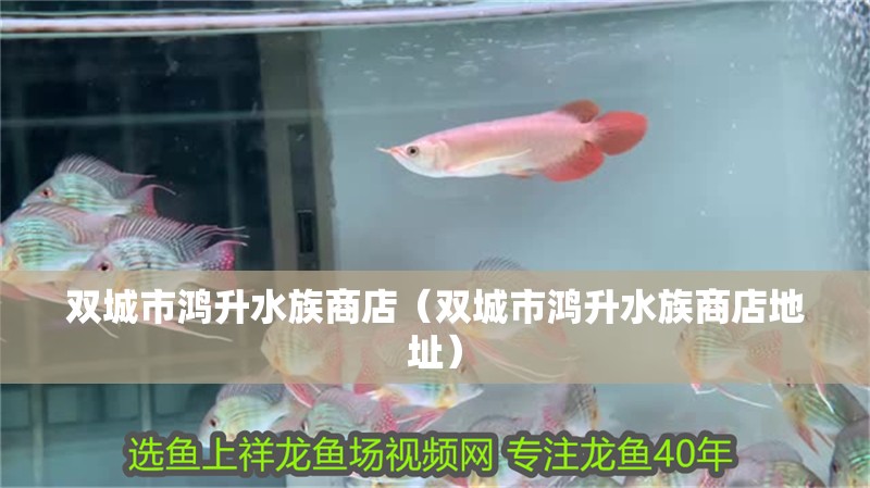 雙城市鴻升水族商店（雙城市鴻升水族商店地址）