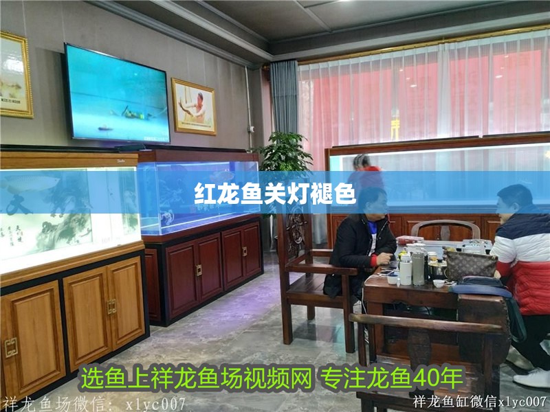 紅龍魚關燈褪色