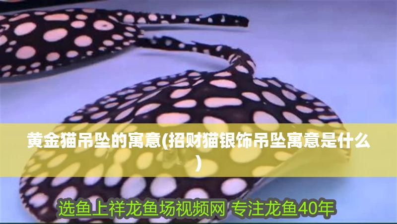 黃金貓吊墜的寓意(招財貓銀飾吊墜寓意是什么)