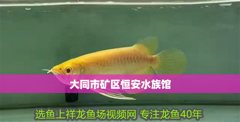 大同市礦區恒安水族館