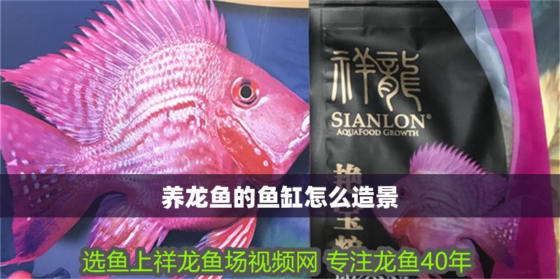 養龍魚的魚缸怎么造景