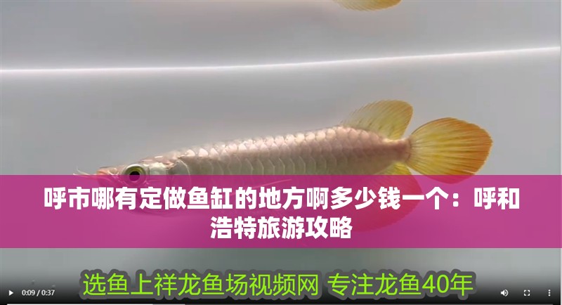 呼市哪有定做魚缸的地方啊多少錢一個：呼和浩特旅游攻略