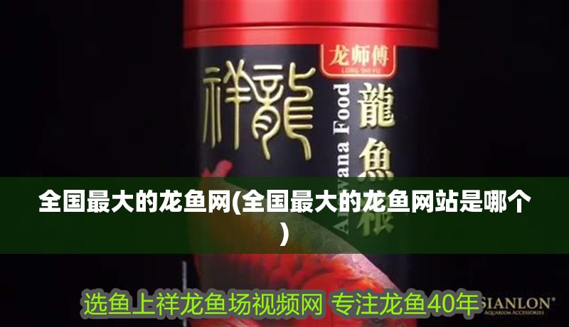 全國最大的龍魚網(全國最大的龍魚網站是哪個)