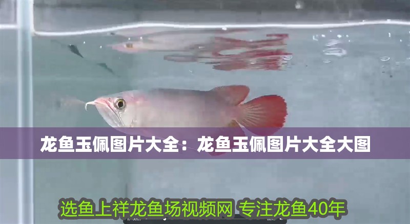 龍魚玉佩圖片大全：龍魚玉佩圖片大全大圖