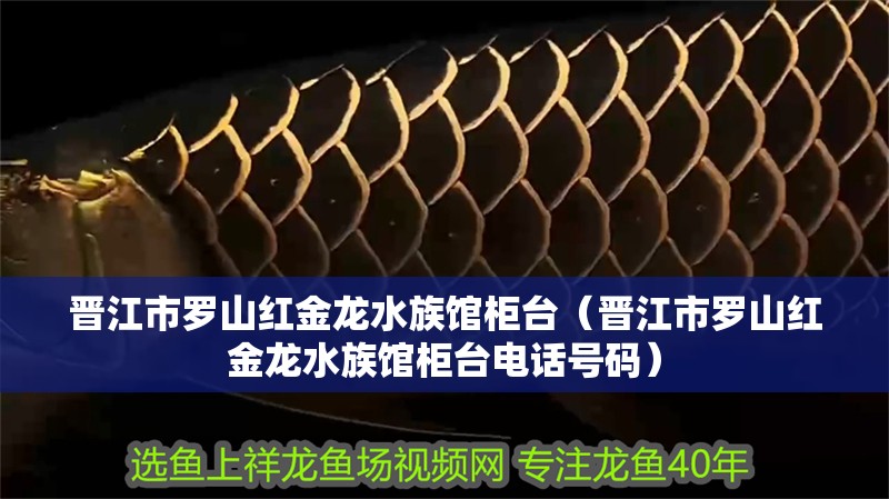 晉江市羅山紅金龍水族館柜臺(tái)（晉江市羅山紅金龍水族館柜臺(tái)電話號(hào)碼）