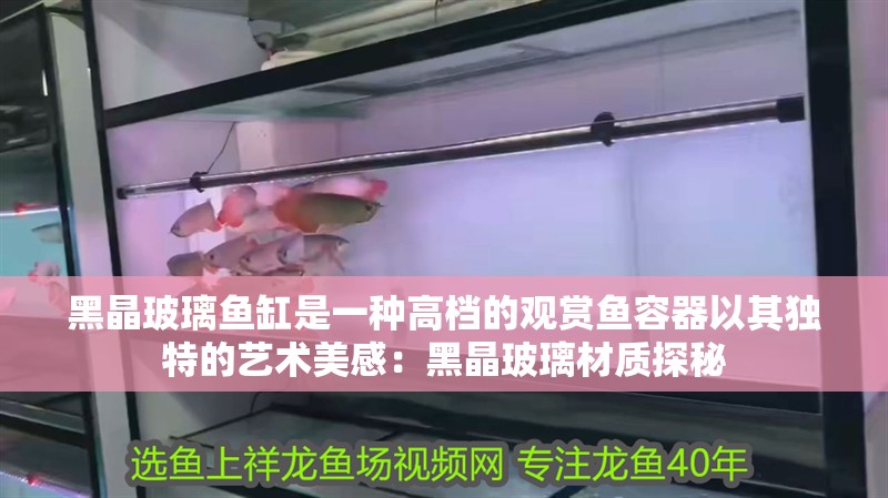 黑晶玻璃魚缸是一種高檔的觀賞魚容器以其獨特的藝術美感：黑晶玻璃材質探秘