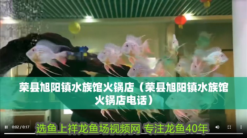 榮縣旭陽鎮(zhèn)水族館火鍋店（榮縣旭陽鎮(zhèn)水族館火鍋店電話）