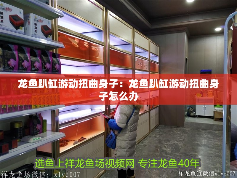 龍魚趴缸游動扭曲身子：龍魚趴缸游動扭曲身子怎么辦