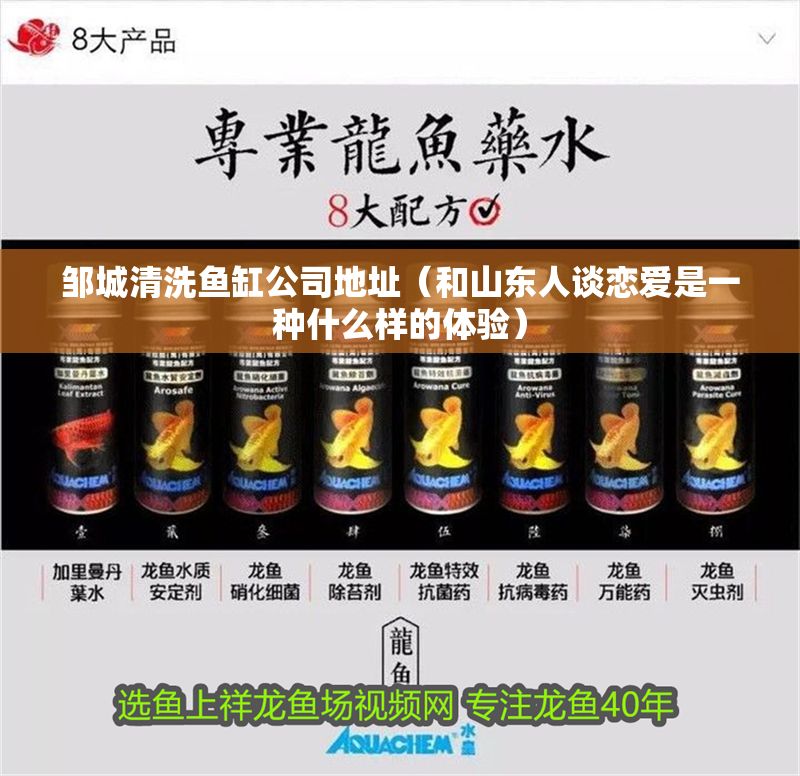 鄒城清洗魚缸公司地址（和山東人談戀愛是一種什么樣的體驗）