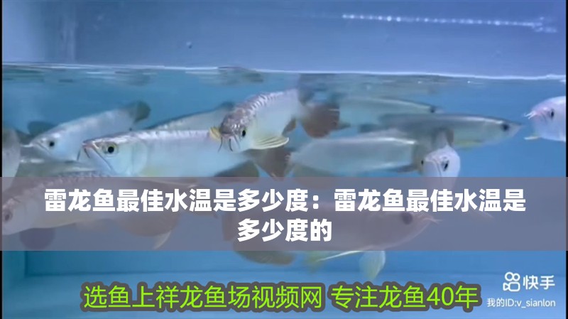雷龍魚最佳水溫是多少度：雷龍魚最佳水溫是多少度的