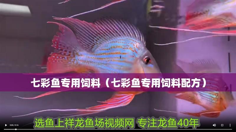 七彩魚專用飼料（七彩魚專用飼料配方）