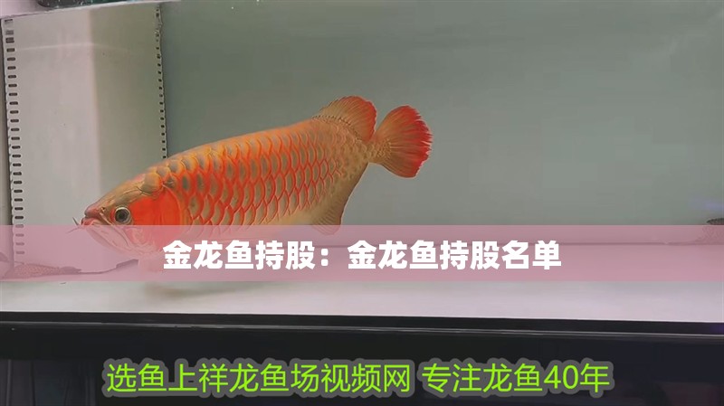 金龍魚持股：金龍魚持股名單
