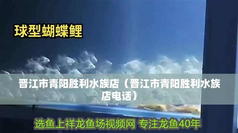 晉江市青陽勝利水族店（晉江市青陽勝利水族店電話）