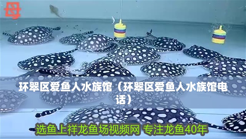 環(huán)翠區(qū)愛魚人水族館（環(huán)翠區(qū)愛魚人水族館電話）