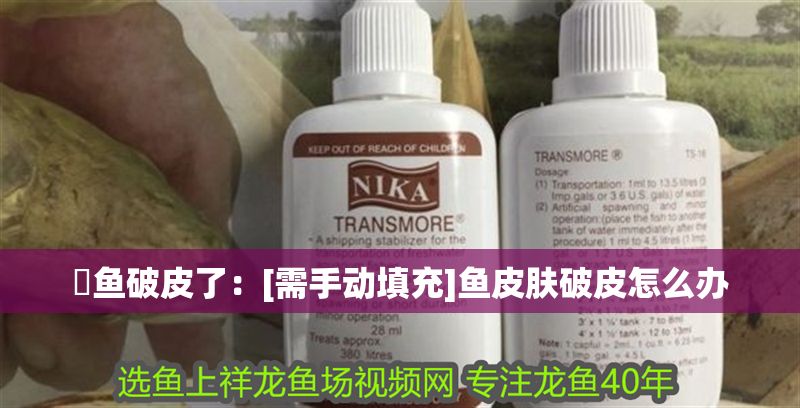 魟魚破皮了：[需手動填充]魚皮膚破皮怎么辦 魟魚破皮了：[需手動填充]魚皮膚破皮怎么辦 魟魚百科 第2張