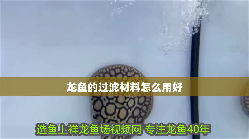 龍魚的過濾材料怎么用好