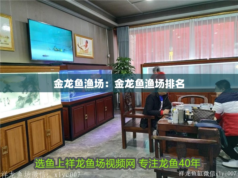 金龍魚漁場：金龍魚漁場排名