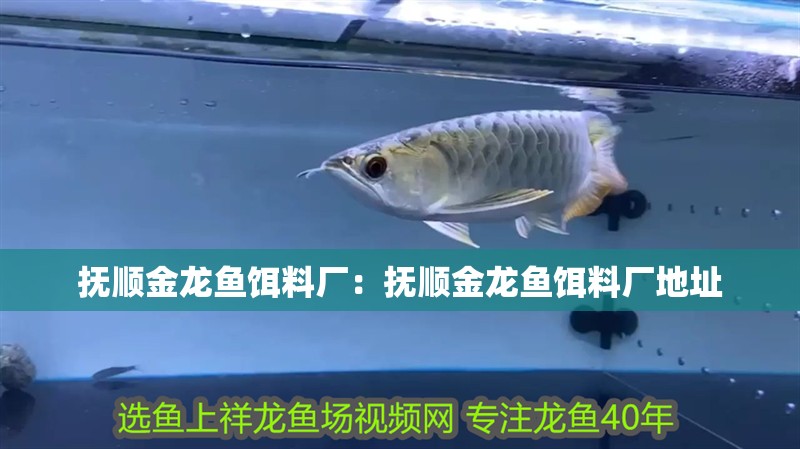 撫順金龍魚餌料廠：撫順金龍魚餌料廠地址