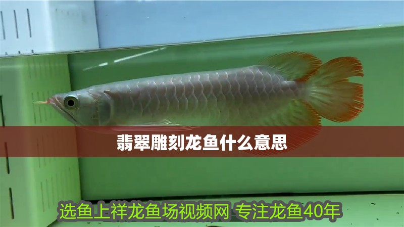 翡翠雕刻龍魚什么意思