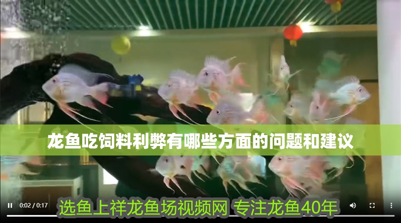 龍魚吃飼料利弊有哪些方面的問題和建議