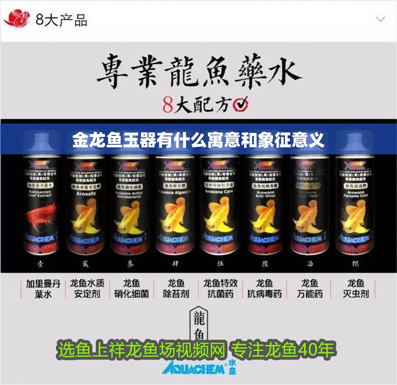 金龍魚玉器有什么寓意和象征意義