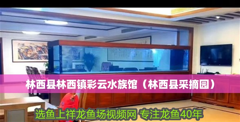 林西縣林西鎮彩云水族館（林西縣采摘園） 林西縣林西鎮彩云水族館（林西縣采摘園） 全國水族館企業名錄 第2張