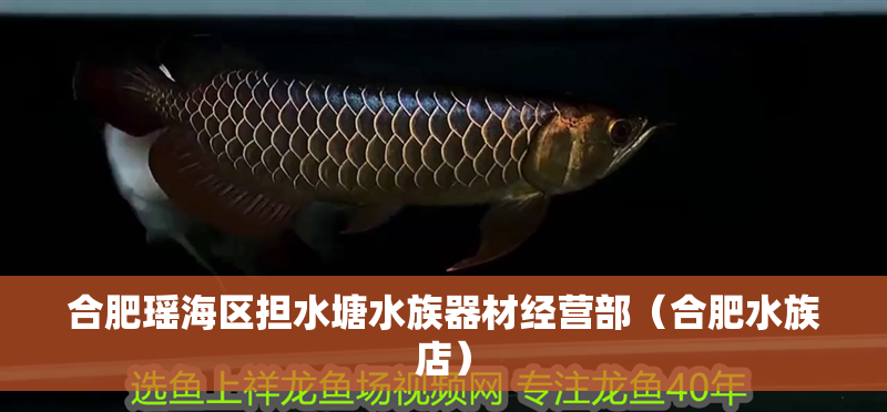 合肥瑤海區擔水塘水族器材經營部(合肥水族店) 全國水族館企業名錄 第2張 合肥瑤海區擔水塘水族器材經營部(合肥水族店) 合肥瑤海區擔水塘水族器材經營部(合肥水族店) 全國水族館企業名錄 第2張