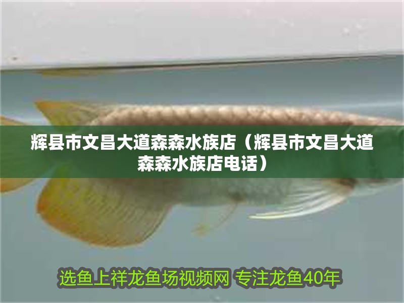 輝縣市文昌大道森森水族店(輝縣市文昌大道森森水族店電話) 全國水族館企業名錄 第2張 輝縣市文昌大道森森水族店(輝縣市文昌大道森森水族店電話) 輝縣市文昌大道森森水族店(輝縣市文昌大道森森水族店電話) 全國水族館企業名錄 第2張