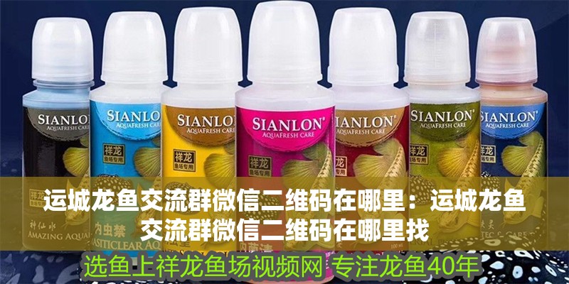 運城龍魚交流群微信二維碼在哪里：運城龍魚交流群微信二維碼在哪里找