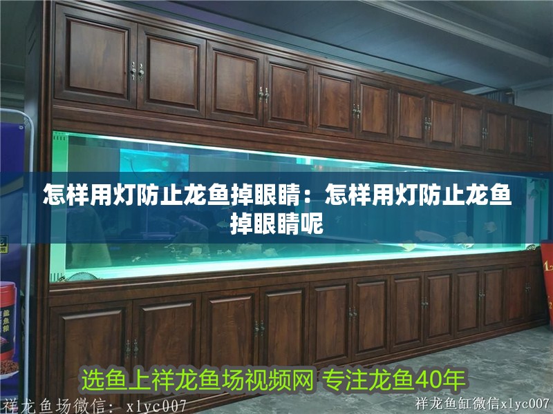 怎樣用燈防止龍魚掉眼睛：怎樣用燈防止龍魚掉眼睛呢