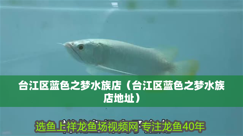 臺江區(qū)藍色之夢水族店（臺江區(qū)藍色之夢水族店地址）
