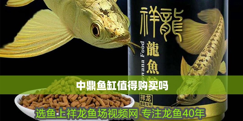 中鼎魚缸值得購買嗎 龍魚百科 第2張 中鼎魚缸值得購買嗎 中鼎魚缸值得購買嗎 龍魚百科 第2張