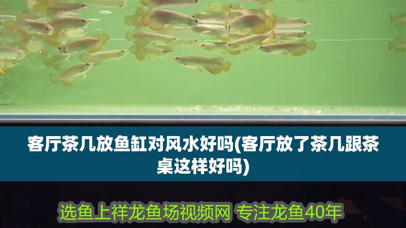 客廳茶幾放魚缸對風水好嗎(客廳放了茶幾跟茶桌這樣好嗎)