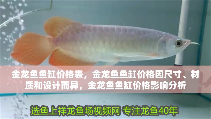 金龍魚魚缸價格表，金龍魚魚缸價格因尺寸、材質(zhì)和設(shè)計而異，金龍魚魚缸價格影響分析 金龍魚魚缸價格表，金龍魚魚缸價格因尺寸、材質(zhì)和設(shè)計而異，金龍魚魚缸價格影響分析 魚缸百科 第2張