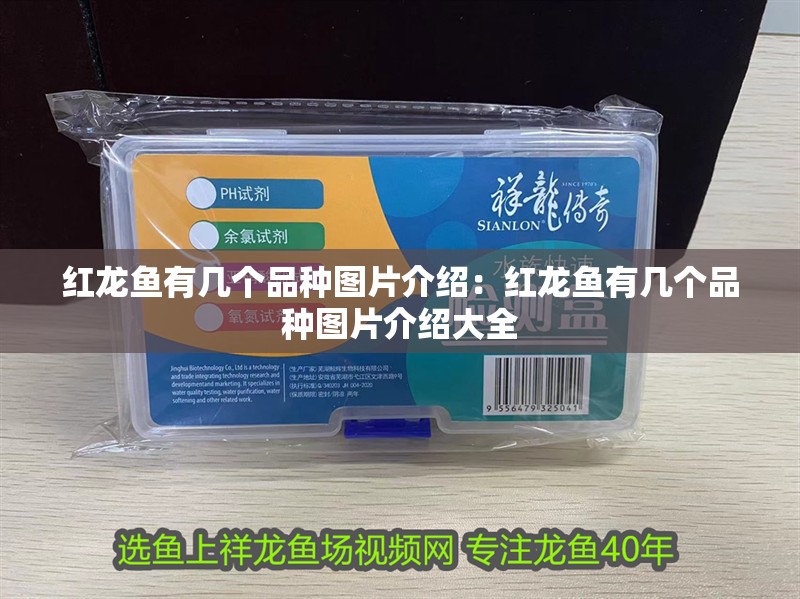 銀龍魚身上長白點用什么藥最好(銀龍魚眼睛上有白點)