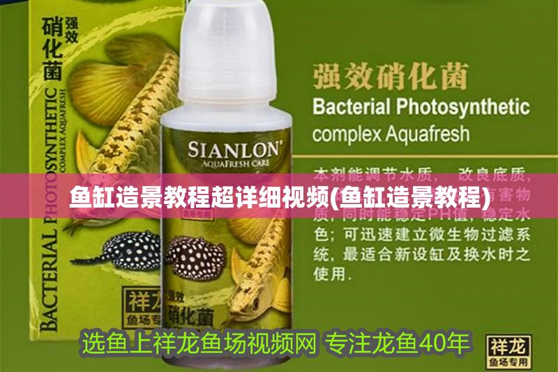 魚缸造景教程超詳細視頻(魚缸造景教程) 黃金貓魚百科 第1張 魚缸造景教程超詳細視頻(魚缸造景教程) 魚缸造景教程超詳細視頻(魚缸造景教程) 黃金貓魚百科 第1張